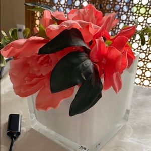 Meet your Posher, Lalit